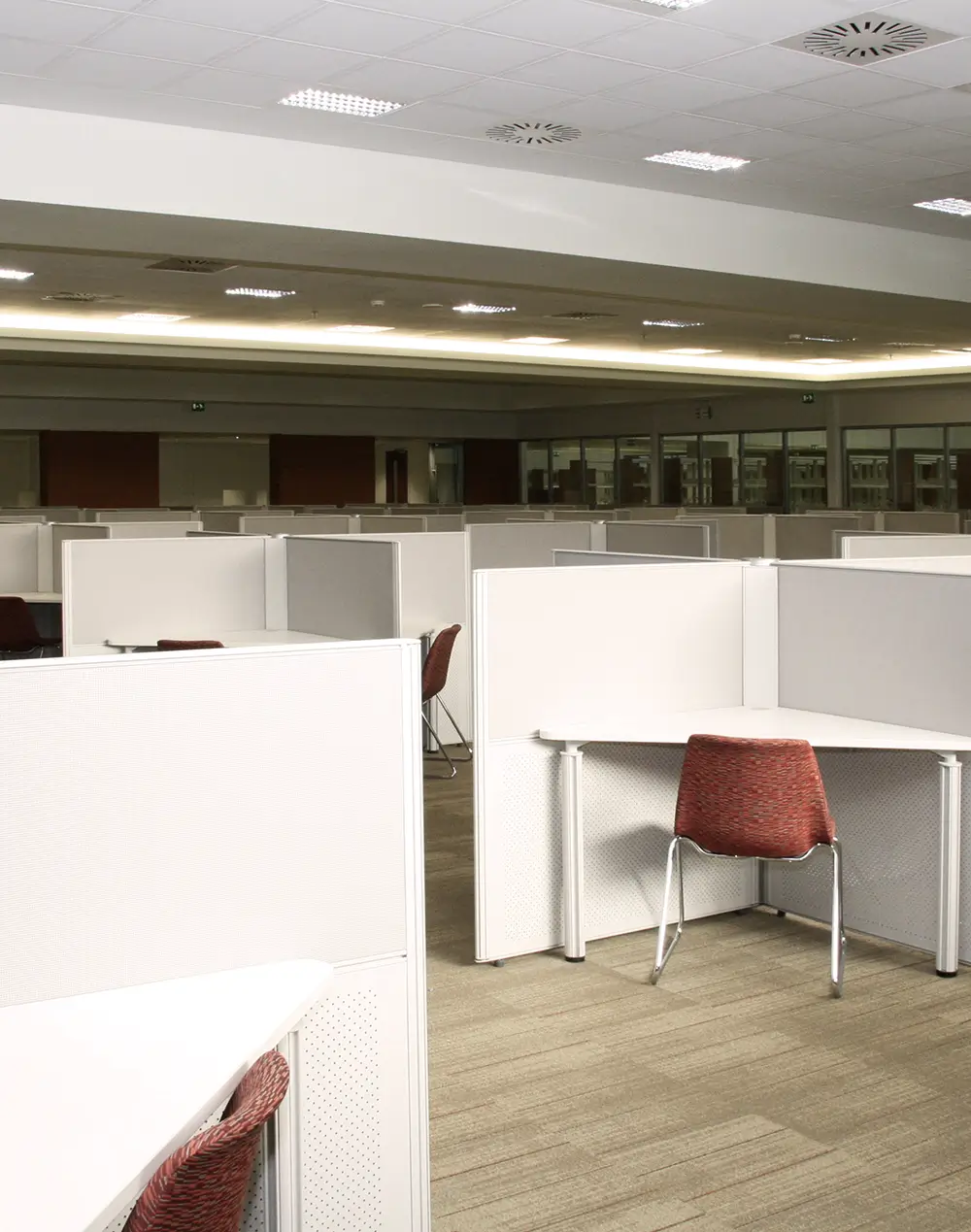 UAE University